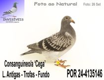 POR 24-4135146